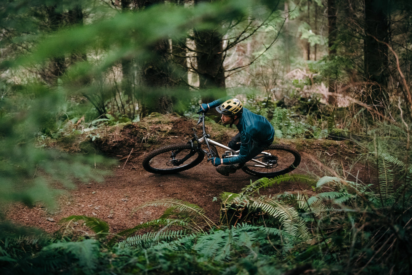 Mountain Bike Rentals