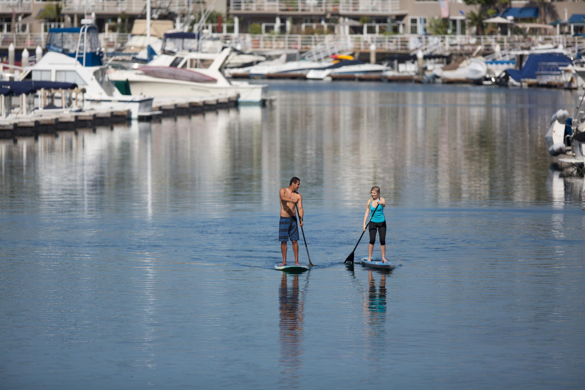 Paddleboard Rentals