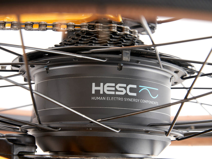 Alquiler de bicicletas - Trail Mtn E-Bike Port Gamble