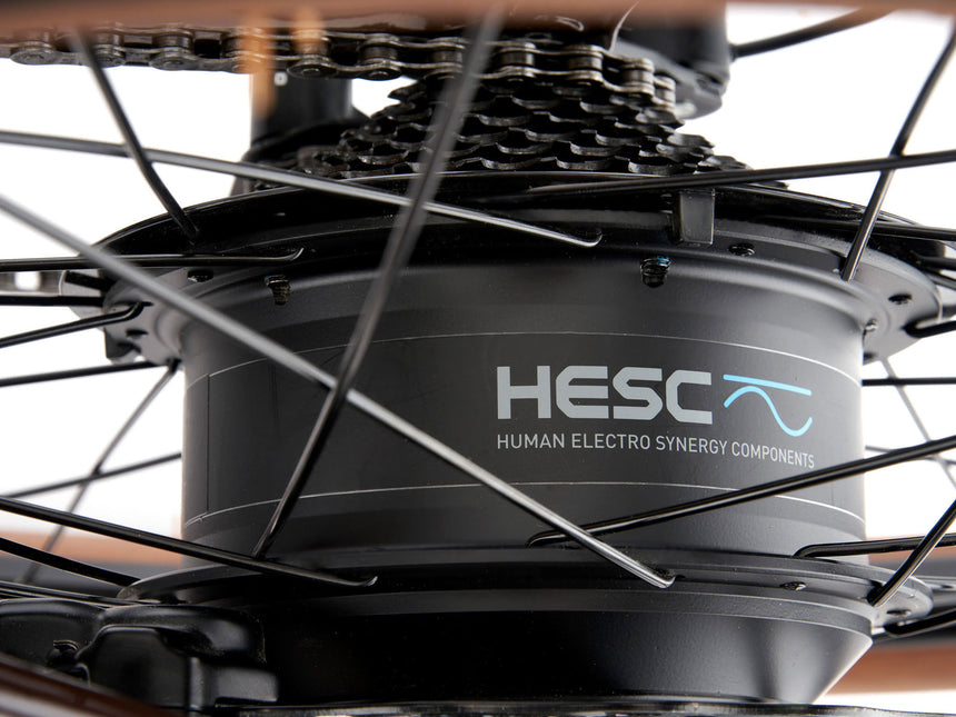 Kona Dew HD | Electric Bike Rental