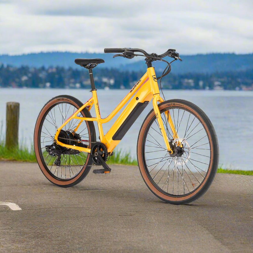 Alquiler de bicicletas - Trail Mtn E-Bike Port Gamble