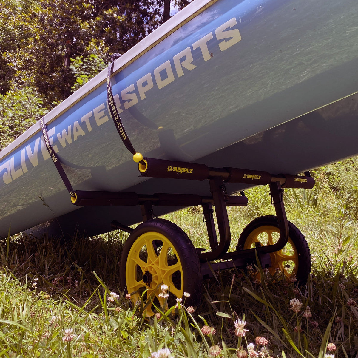 Catch-All Universal Airless Cart