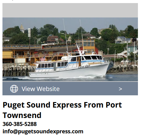 Bike Packing Rentals - Olympic National Park - Discovery Trail E-Bike Bike - Port Gamble