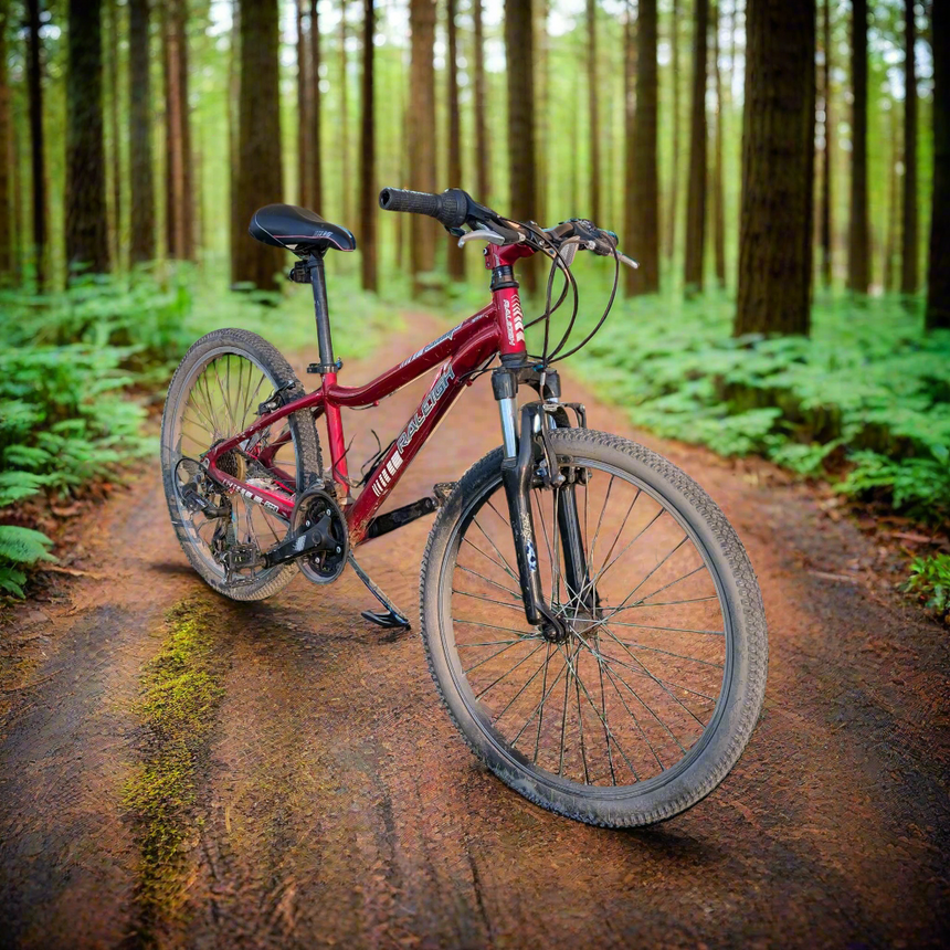 Youth 24" Mountain Bike Rental