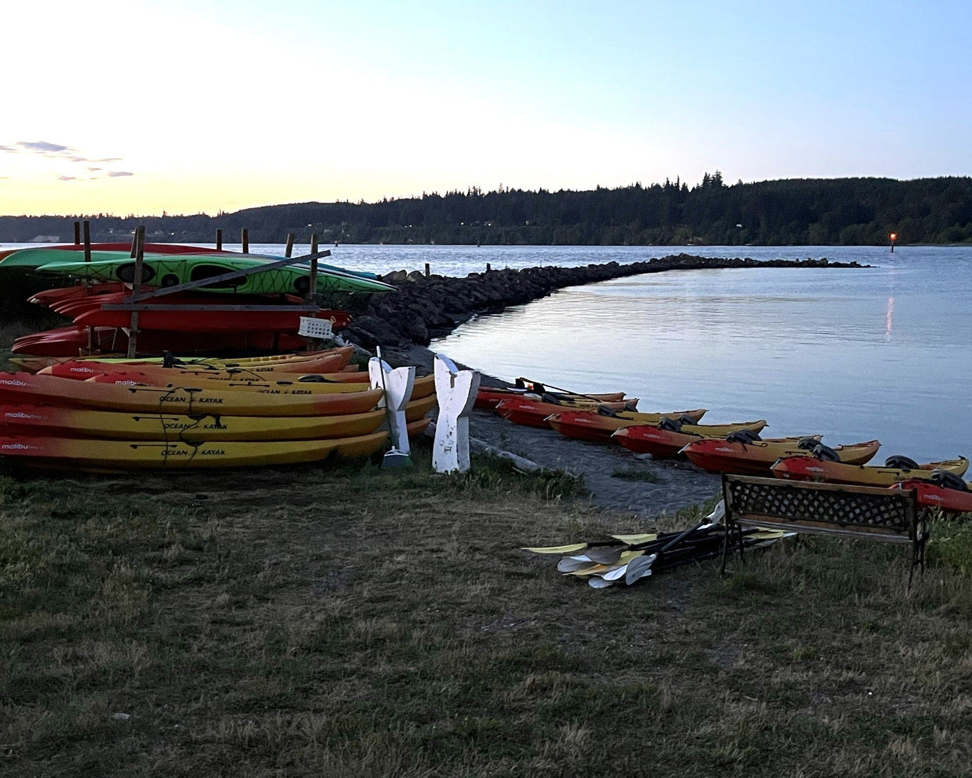 Bioluminescence Kayak Tour