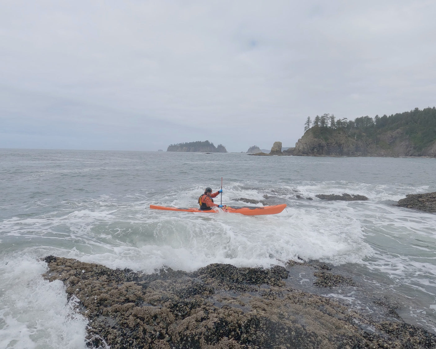 SEAWISE | Introduction to Coastal Kayaking