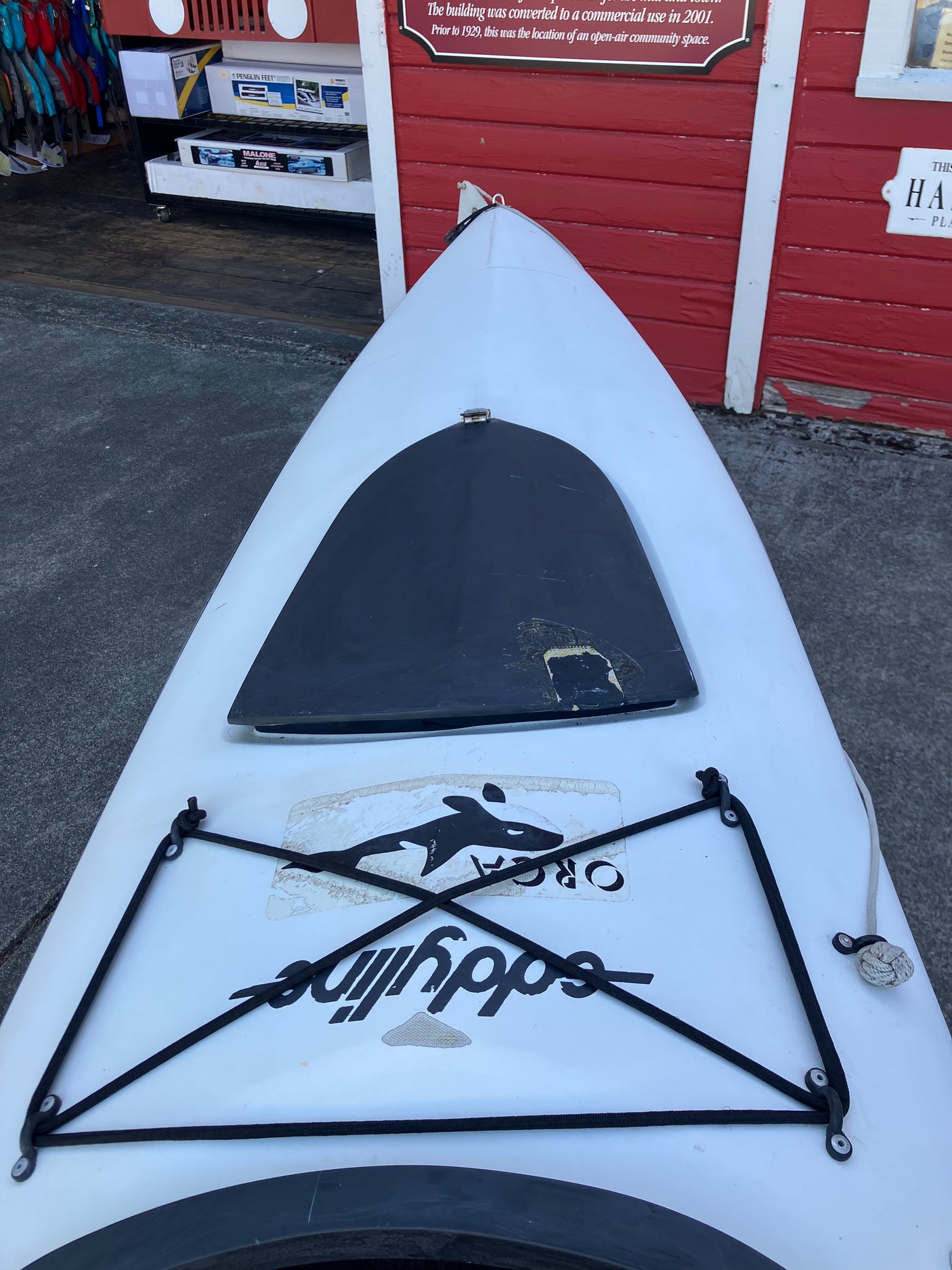 Eddyline Orca | Used