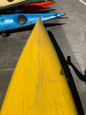 Perception Corona | Used