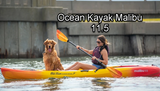 Ocean Kayak Malibu 11.5 Sit on Top Single Kayak (Used)