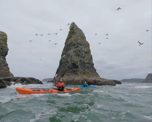 Two kayakers paddling near large rock formations with birds flying overhead.