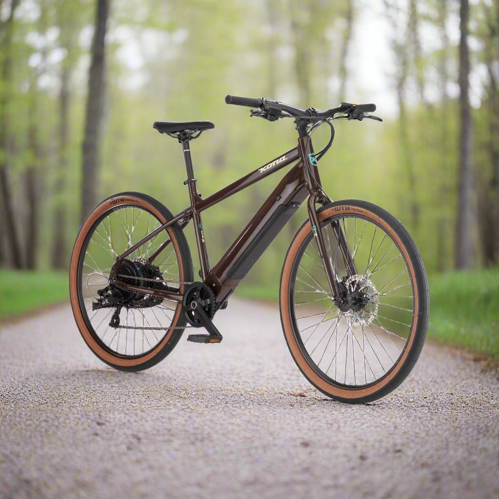 Kona Dew HD Electric Assist E-Bike Rentals – Olympic Outdoor Center