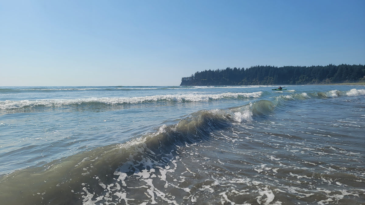 SEAWISE | Introduction to Coastal Kayaking