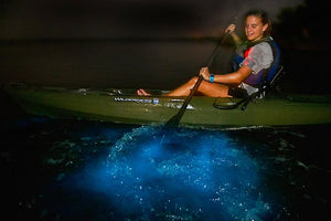 Tour en kayak de luna llena y bioluminiscencia - Port Gamble, Washington