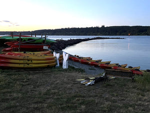 Tour en kayak por bioluminiscencia - Port Gamble, Washington