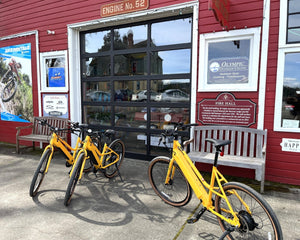 Tour en bicicleta eléctrica E-Bike - Port Gamble