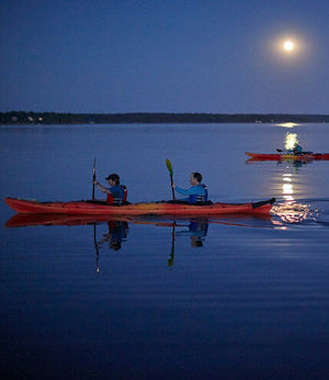 Tour en kayak de luna llena y bioluminiscencia - Port Gamble, Washington